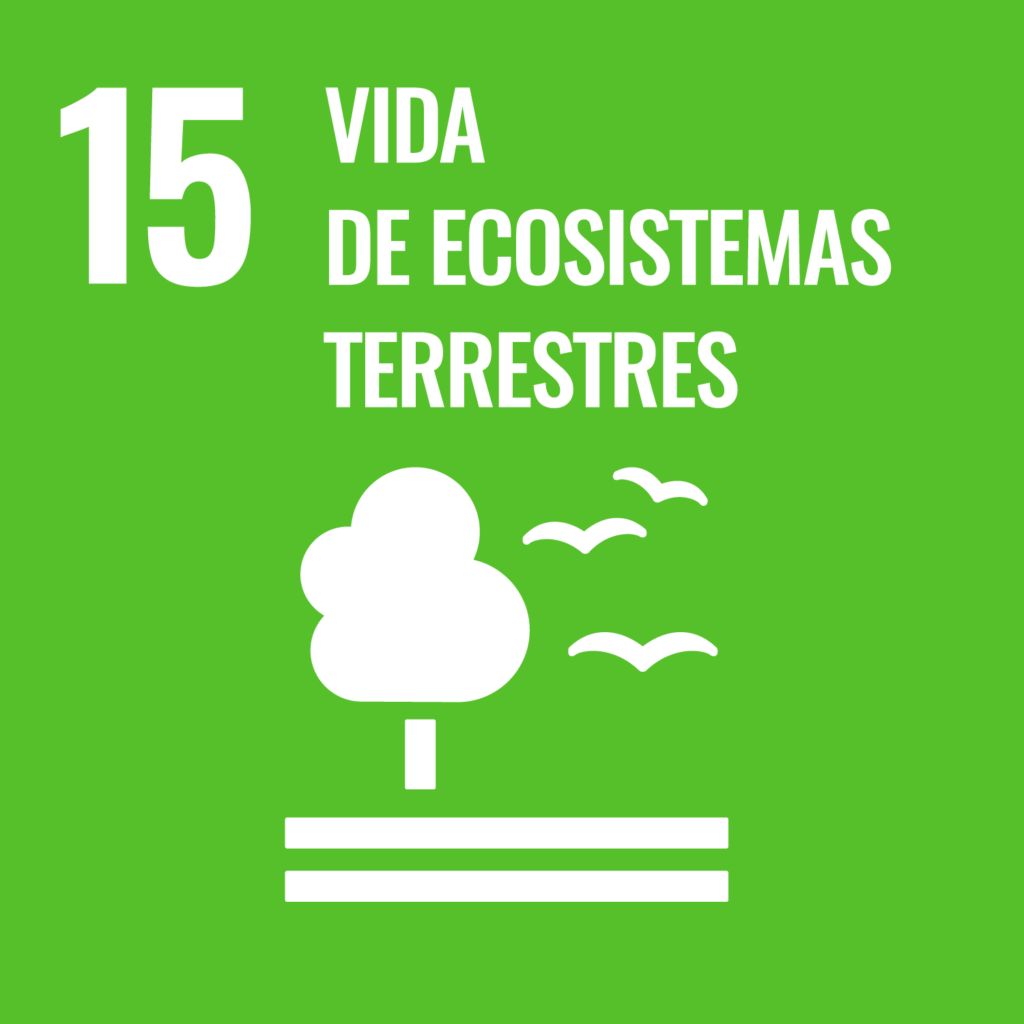 SDG 15