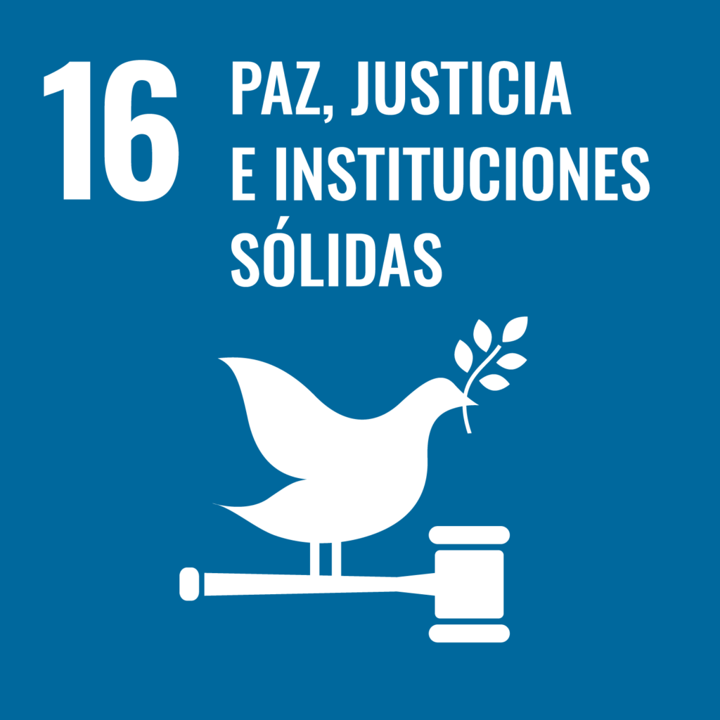 SDG 16